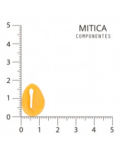Buzios de Plástico Naranja...