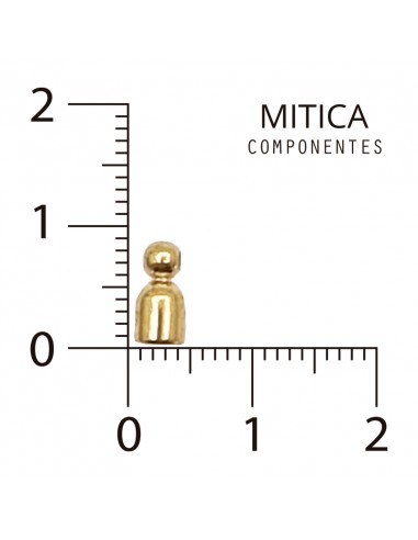 CCB dorado W1755 [500gr]