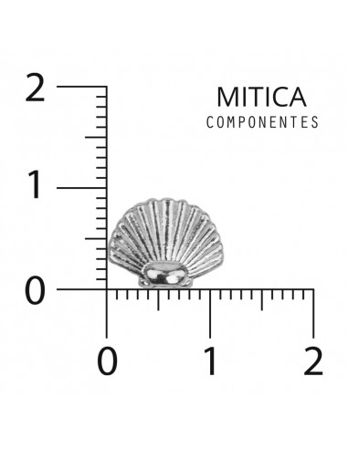 Fundición Níquel Caracol de Mar Art....
